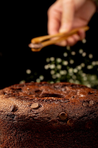 Bolo-Formigueiro-Receita-Facil-e-Dicas-para-o-Bolo-Perfeito-credspot