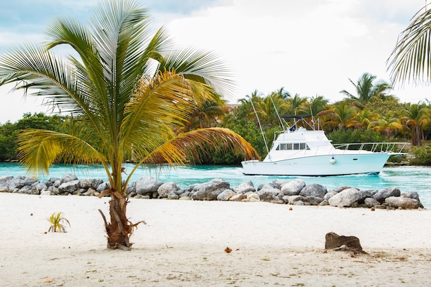 Ilha-do-Campeche-Como-Chegar-O-Que-Fazer-e-Dicas-credspot