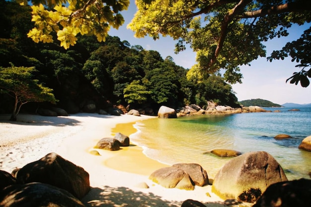 Praias-de-Ubatuba-Qual-Escolher-e-Dicas-para-Aproveitar-credspot