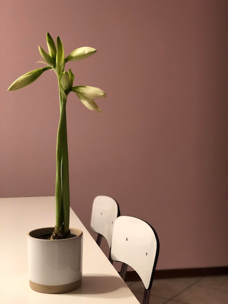 Simplicidade: O Que É e Por Que É Tão Valorizada